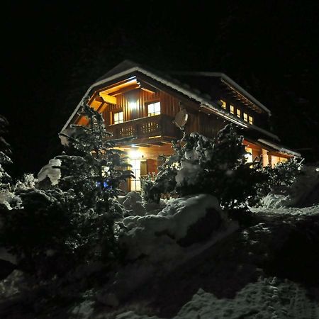 Chalet Styria Donnersbachwald Luaran gambar