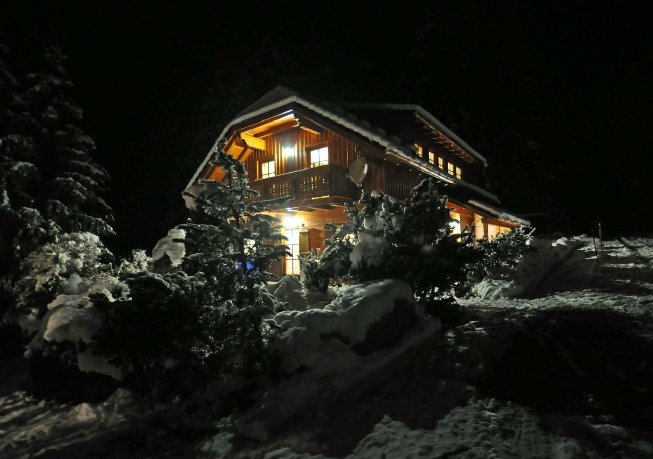 Chalet Styria Donnersbachwald Luaran gambar